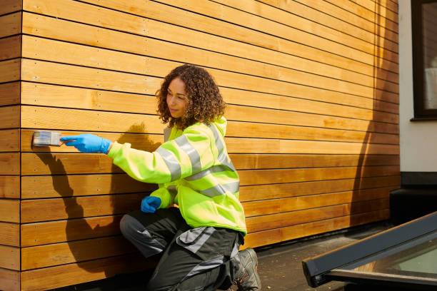 Best Brick Veneer Siding  in San Martin, CA